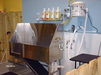 Interior - All Four Paws in Bluffton, SC Pet Boarding & Grooming