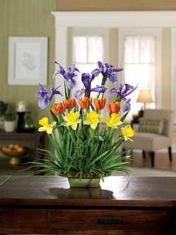 Interior - Always and Forever Flowers in Old Bridge, NJ Florists