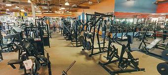 Interior - AM PM Fitness in Wixom, MI Health & Fitness Program Consultants & Trainers