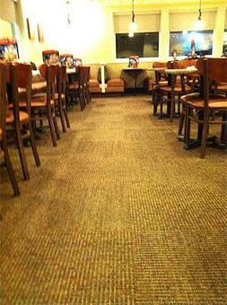 Interior - Best Carpet Care in DFW - Arlington, TX Carpet Rug & Upholstery Cleaners