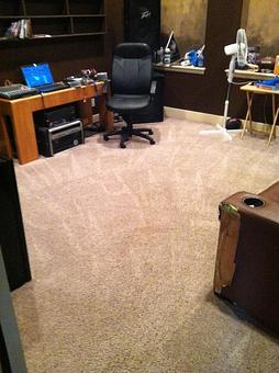 Interior - Best Carpet Care in DFW - Arlington, TX Carpet Rug & Upholstery Cleaners