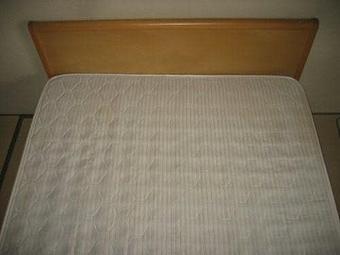 Interior - Best Carpet Care in DFW - Arlington, TX Carpet Rug & Upholstery Cleaners