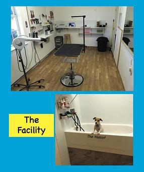 Interior - Best Of Breed Dog Grooming in Rustic Ranches - Wellington, FL Pet Boarding & Grooming