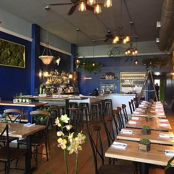 Interior - Braise Restaurant & Bar in San Jose, CA American Restaurants