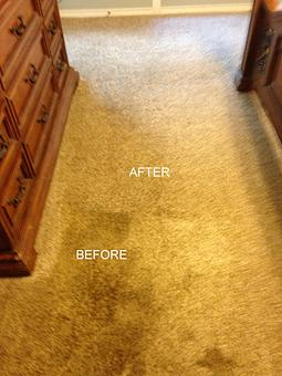 Interior - Brightway Carpet Cleaning in Old Town Katy - Katy, TX Carpet Rug & Upholstery Cleaners