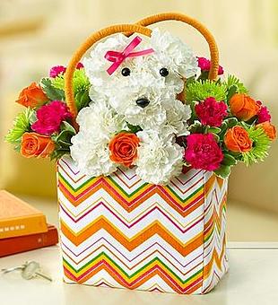 Interior - Capehart Floral And Gifts in Bellevue, NE Florists
