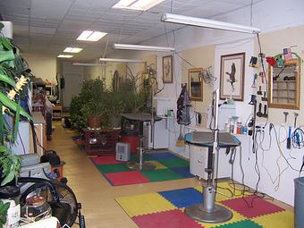 Interior - Carol's Pretty Pet Salon in Topeka, KS Pet Boarding & Grooming