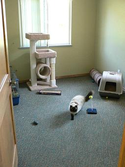 Interior - Circle Kennel Club in Green Bay, WI Pet Boarding & Grooming Interior - Circle Kennel Club in Green Bay, WI Pet Boarding & Grooming