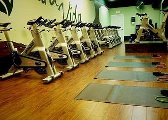 Interior - Cycology of Tampa Bay in Wesley Chapel, FL Sports & Recreational Services