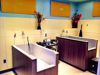 Interior - Dee o Gee in Bozeman, MT Pet Care Services
