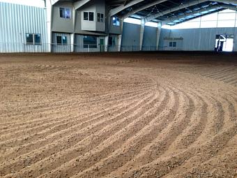 Interior - Denver Equestrians Riding School in Littleton, CO Pet Care Services