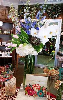 Interior - Dr Delphinium Design Center in Dallas, TX Shopping & Shopping Services