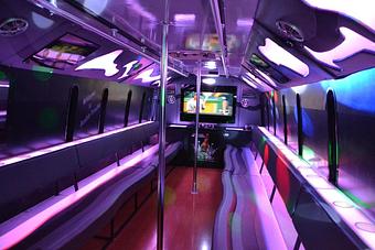 Interior - Dreammaker Limousines in Bradenton, FL Limousines