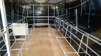 Interior - Dreammaker Limousines in Bradenton, FL Limousines