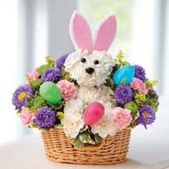 Interior - Encinitas Flower Shop in Encinitas, CA Florists