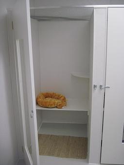 Interior - Feline Fabulous in Plaza Midwood / Near CPCC - Charlotte, NC Pet Care Services