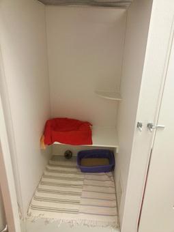 Interior - Feline Fabulous in Plaza Midwood / Near CPCC - Charlotte, NC Pet Care Services