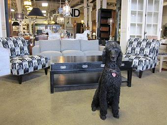 Interior - FIND Home Furnishings in Brooklyn, NY Furniture