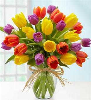 Interior - Floral Explorations in Buffalo, NY Oil Field Exploration Monitoring & Remediation