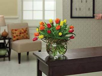 Interior - Flowers Express in Longwood, FL Shopping & Shopping Services