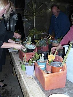Interior - Garden Mart in Mukwonago, WI Nurseries & Garden Centers