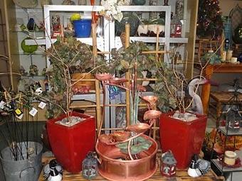 Interior - Grassland Aquatics in Franklin, TN Sports & Recreational Services