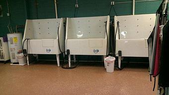 Interior - Groomingdale's in Billings, MT Pet Care Services