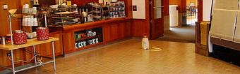 Interior - Grout and Carpet Wizards in Charlottesville, VA Carpet Rug & Upholstery Cleaners