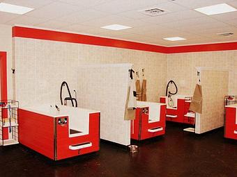 Interior - Happy Tails Self-Serve Dog Wash & Grooming in Sandwich, MA Pet Boarding & Grooming