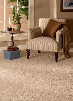 Interior - Hen's Dry Carpet & Upholstery Cleaning-Long Beach in Long Beach, CA Carpet Rug & Upholstery Cleaners