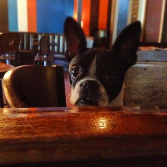 Interior - Hope and Anchor in El Paso, TX Bars & Grills