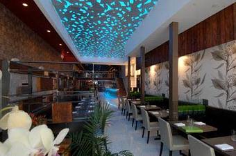 Interior - I Restaurant in New York, NY Restaurants/Food & Dining