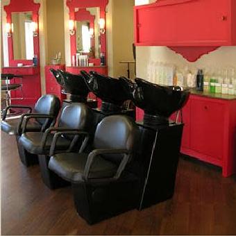Interior - Iluminada Studio in Englewood, NJ Misc Photographers