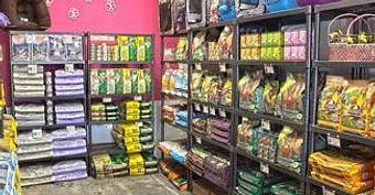 Interior - Impeccable Paws in Cornelius, NC Pet Care Services