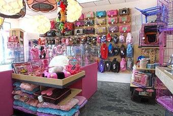 Interior - Impeccable Paws in Cornelius, NC Pet Care Services