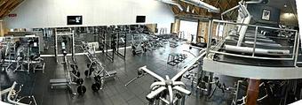Interior - Iron Fitness in Santa Monica, CA Health Clubs & Gymnasiums