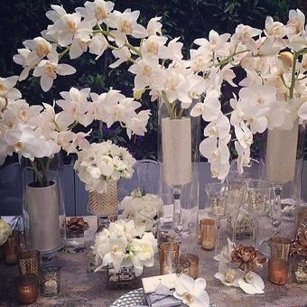 Interior - Isari Flower Studio in Solana Beach, CA Florists