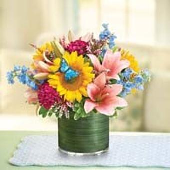 Interior - Jennys Floral in Custer, SD Florists