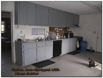 Interior - Jeric's Kennels in Hood Swamp Area - Goldsboro, NC - La Grange, NC Pet Boarding & Grooming Interior - Jeric's Kennels in Hood Swamp Area - Goldsboro, NC - La Grange, NC Pet Boarding & Grooming