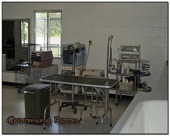 Interior - Jeric's Kennels in Hood Swamp Area - Goldsboro, NC - La Grange, NC Pet Boarding & Grooming Interior - Jeric's Kennels in Hood Swamp Area - Goldsboro, NC - La Grange, NC Pet Boarding & Grooming