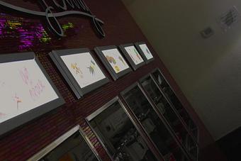 Interior - Juicy Berry in Eugene, OR Dessert Restaurants