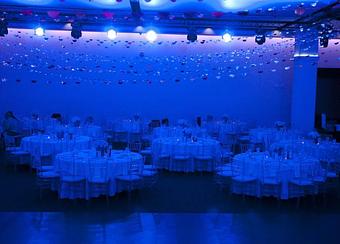 Interior: MCSPCA Fur Ball 2013 - Kim Levin Photography in Little Silver, NJ Misc Photographers