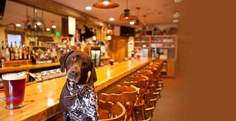 Interior - Kirby Cosmo's Bbq Bar in Minturn, CO Barbecue Restaurants