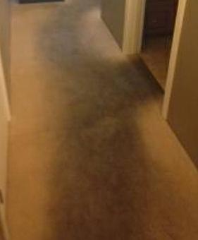 Interior - Kount On Us Carpet Cleaning in Victorville, CA Carpet Rug & Upholstery Cleaners