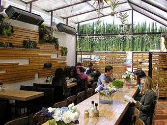 Interior - Kreation Kafe in Santa Monica, CA Health Food Restaurants