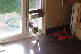 Interior - Le Chateau Pet Resort in Amarillo, TX Pet Boarding & Grooming