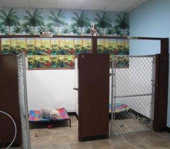 Interior: Our Large 2-room Suites - Little Doggie Paradise in Denver, CO Pet Care Services