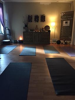 Interior - Little Lotus Wellness Studio in Downtown Ferndale - Ferndale, MI Health & Medical