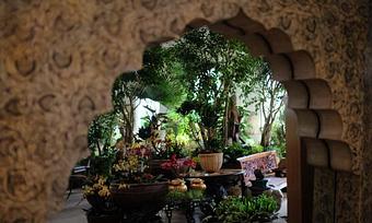 Interior - Living Green Design in San Francisco, CA Business Services Interior - Living Green Design in San Francisco, CA Business Services