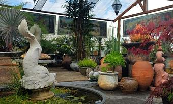 Interior: Living Green Design's Garden Center - Living Green Design in San Francisco, CA Business Services Interior: Living Green Design's Garden Center - Living Green Design in San Francisco, CA Business Services